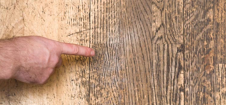 Wood Door Scratch Repair in Palo Alto